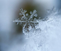 Água – Memória e Vida! 3 snow