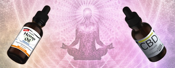 Óleo de CBD vs Óleo das Sementes de Cânhamo 4 Blogue CBD vs Hemp 1