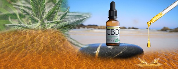 What is the CBD? 9 WhatsApp Image 2021 05 02 at 08.50.31