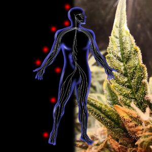 WhatsApp Image 2021 06 08 at 16.54.55