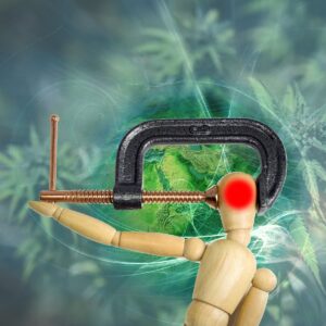 WhatsApp Image 2021 06 08 at 16.55.11