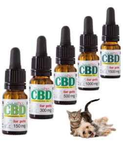 CBD SulisPet para cães e gatos