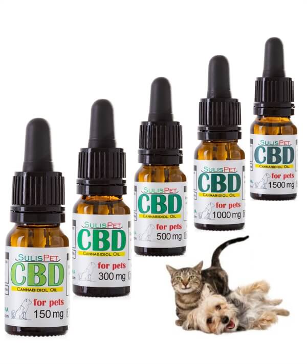 CBD para cães e gatos