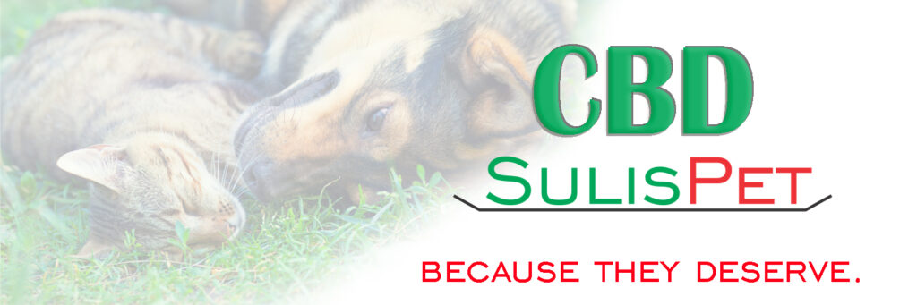 carrossel pc pet 3 ing