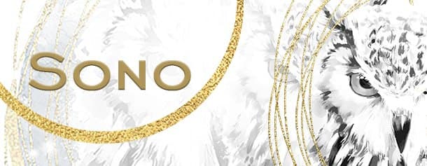 A Importância de um Bom Sono 4 Blogue Sono 1