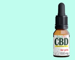 CBD pet image 1500 mg
