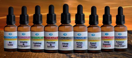 Golden sunset over sea